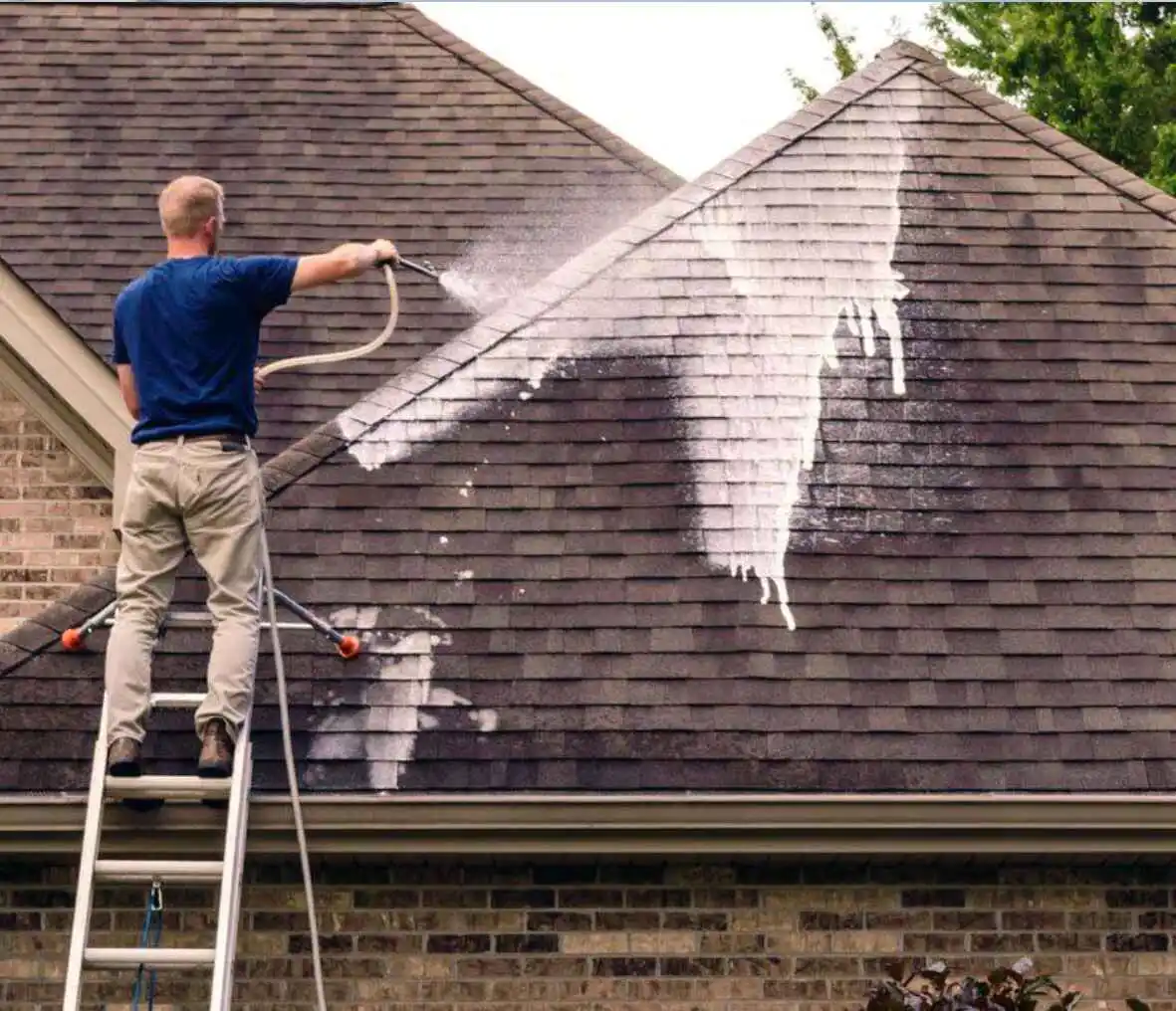 Roof Cleaning Service - ProCleanPW